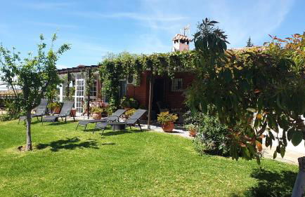 El Camerote - Photo 8