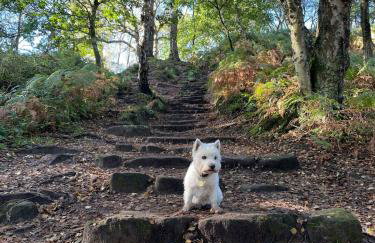 Cheshire Country Cottage, Bulkeley - Foto 29