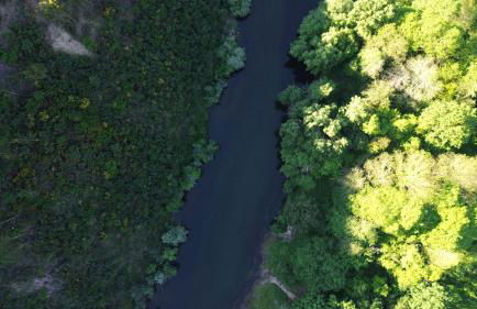 O Pardieiro - Aldeia da Paradinha com praia fluvial - Foto 36