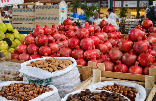 Quality Apartment Miletičova - Foto 50