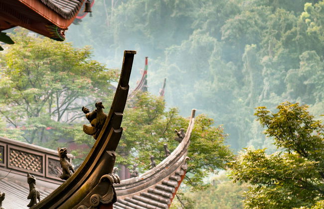 Excursión privada a Hangzhou - Foto 1