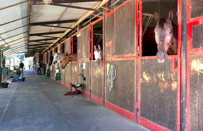 Assia Spa - Photo 67