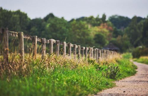 Gosewatt Wohnung 4 - Foto 18