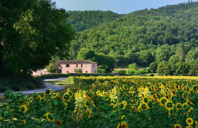 Agriturismo Il Corniolo - Photo 74