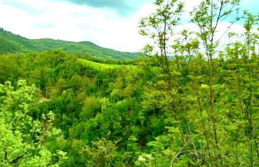 Casa Biron - Foto 29