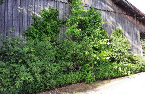 Ferienwohnung Noltenius - Foto 22