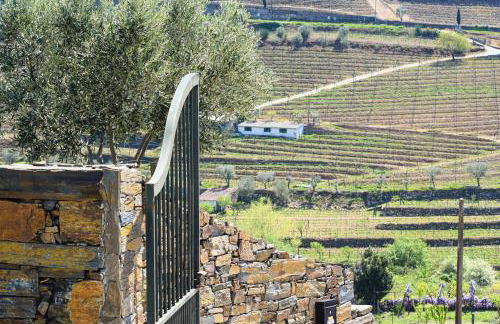 Quinta dos Padrinhos - Suites in the Heart of the Douro - Foto 51