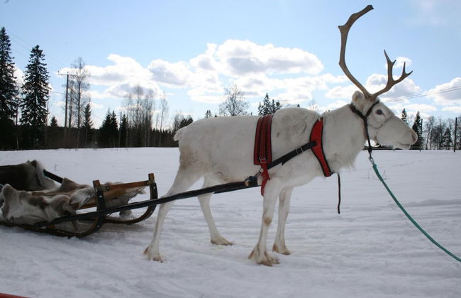 Valkeisen Loma - Foto 47