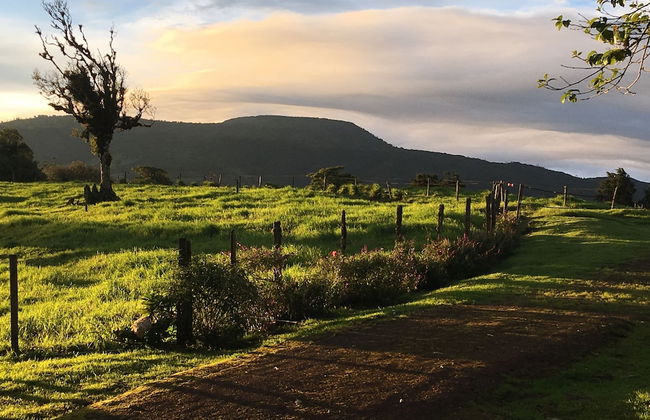 Villa Calas - Foto 57