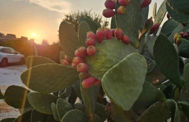 Villa Merilusi Apartments - Foto 2