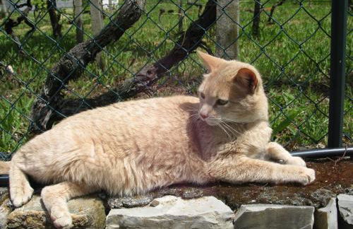 Agriturismo La Vigna - Foto 35