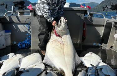 Eagle's Eye Vacation Rentals - Foto 3