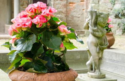 Residenza d'Epoca Il Cassero - Foto 33