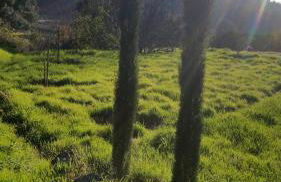 Casinha Laranja - Foto 36