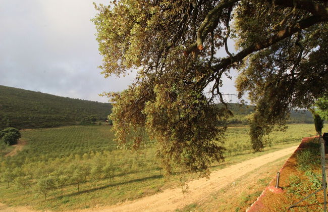 Masia Heredad La Boquilla - Foto 53