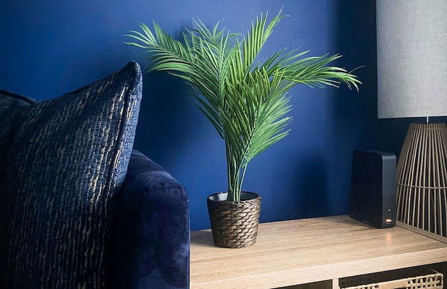 Phoenix House - Photo 38