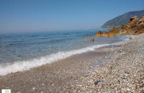 Frini Studios - Photo 50