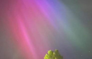 Anglesey new modern shepherds hut with spa hot tub - Foto 35