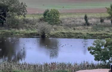 Ferienwohnung mit Kamin und traumhafter Dachterrasse mit Weitblick in die Natur - Foto 18