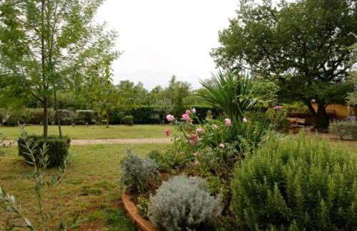 Apartman Perci Vrh - Foto 27