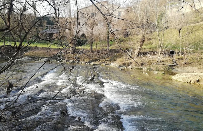 Country House Parco Ducale - Foto 47