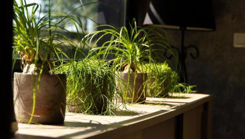 Gîte classé deux étoiles gite de France n 17 Signy-le-Petit - Foto 2