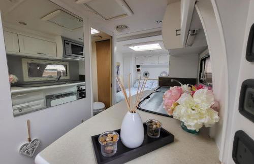 Glamping With Llamas - Foto 58