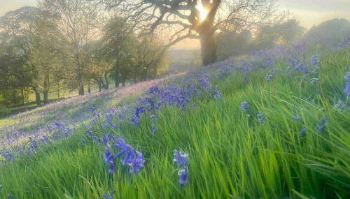 Stunningly stylish cottage. - Foto 2