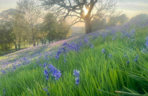 Stunningly stylish cottage. - Foto 2