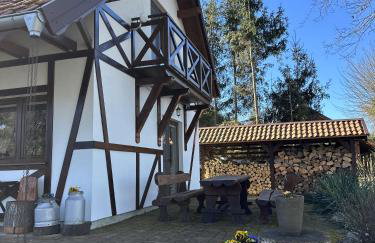 Ostoja Jeziorak Jezierzyce - Foto 16