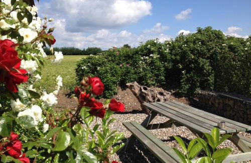 Ferienwohnung am Reuterteich - Foto 17