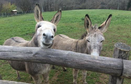 GITE URSUYA 3 étoiles de plain-pied idéalement situé - Foto 49