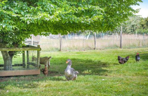 1 Bed in Ashprington oc-m32906 - Photo 32