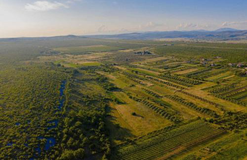 MY DALMATIA - Authentic Villa Storia with private heated pool - Photo 51