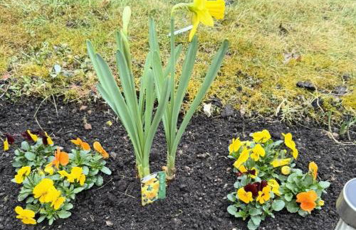 Feines Apartment mit Balkon & Terrasse in ruhiger Gegend - Foto 15