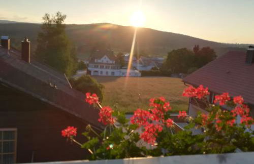 Holiday Home in Haidmühle mit Großem Garten by Interhome - Foto 15