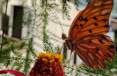 Marville Flats - Foto 27