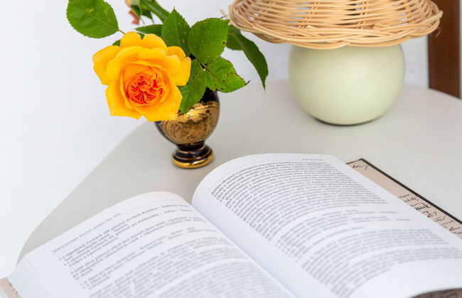 Lhotka nad Bečvou - Foto 20