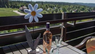 Ferienapartment Hoch hinaus - Foto 4