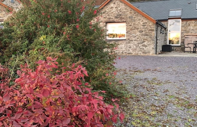 Bryn Eithin Cottage Far From the Madding Crowd - Foto 25