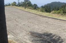 Hollywood villa - Foto 15