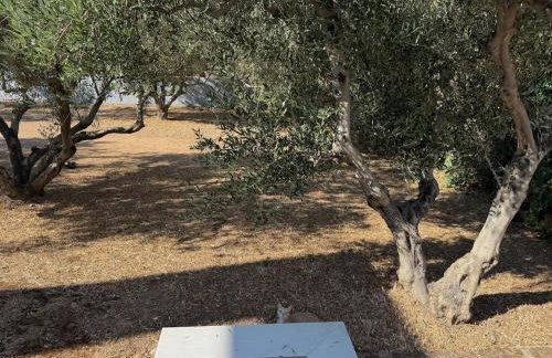 Φωτεινό σπίτι 200μ από την παραλία - Foto 21