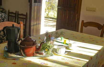 Finca Ecológica Morera - Foto 8