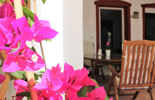 Rootop Villa - Chalet en Cabo Pino con vistas al mar, jardines y piscina - Foto 14