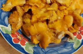 Pauza Drzewoszewo - Dom nad jeziorem - Foto 13