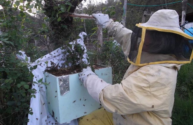 Agriturismo di Charme e Ristorante Stallato Il Filo di Paglia - Photo 80