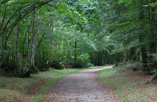 Studio vue magique proche Locronan - Foto 20