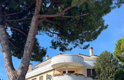 La Casa dei Pini - Foto 1