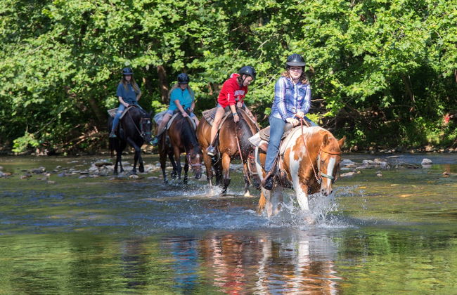 Springmaid Mountain - Foto 38