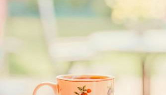 Kaminhaus 2 Fehmarn mit Sauna und Kamin - Foto 4